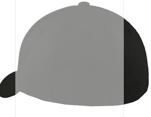 FLEXFIT C865 BLNK CAP